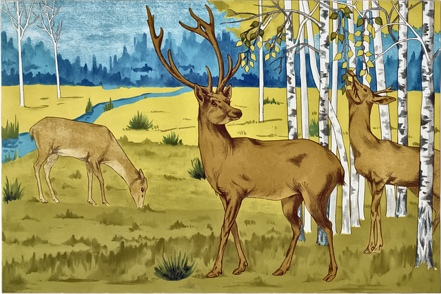 NÁVŠTĚVA MYSLIVCE