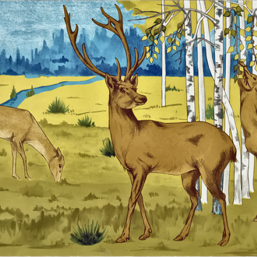 NÁVŠTĚVA MYSLIVCE