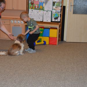 PEJSEK - CANISTERAPIE