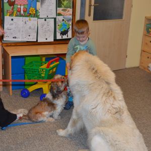 PEJSEK - CANISTERAPIE