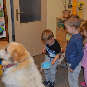 PEJSEK - CANISTERAPIE