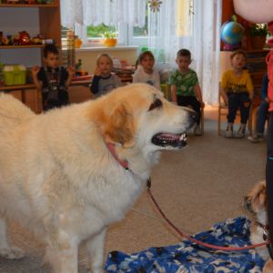 PEJSEK - CANISTERAPIE