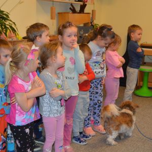 PEJSEK - CANISTERAPIE