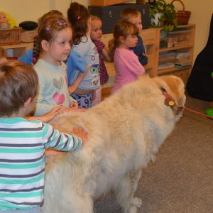 PEJSEK - CANISTERAPIE