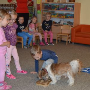 PEJSEK - CANISTERAPIE