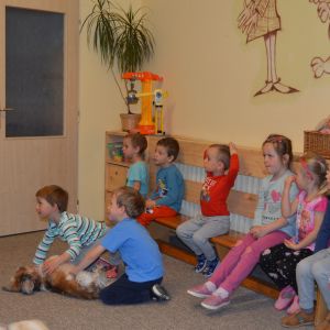 PEJSEK - CANISTERAPIE