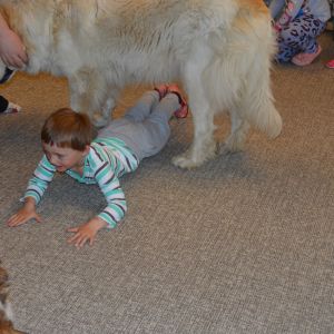 PEJSEK - CANISTERAPIE