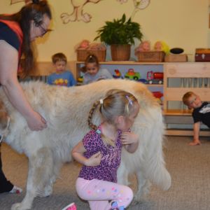 PEJSEK - CANISTERAPIE