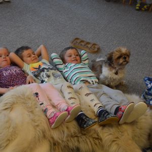 PEJSEK - CANISTERAPIE