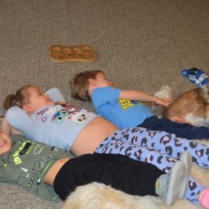 PEJSEK - CANISTERAPIE