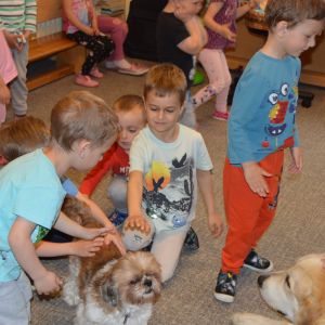 PEJSEK - CANISTERAPIE