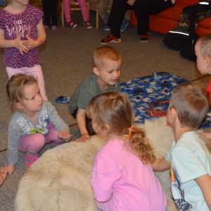 PEJSEK - CANISTERAPIE