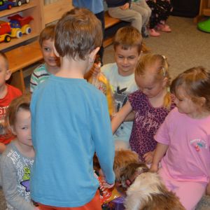 PEJSEK - CANISTERAPIE