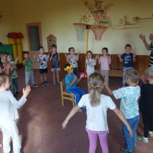 KOČIČKY_září 2025