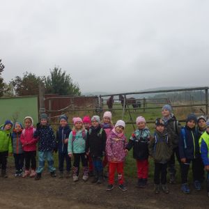 KOČIČKY_výlet ,,Poznáváme podzimní les,,