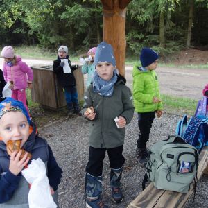 KOČIČKY_výlet ,,Poznáváme podzimní les,,