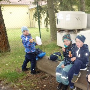 KOČIČKY_výlet ,,Poznáváme podzimní les,,