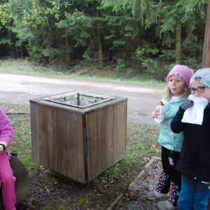 KOČIČKY_výlet ,,Poznáváme podzimní les,,