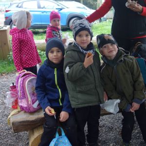 KOČIČKY_výlet ,,Poznáváme podzimní les,,