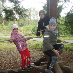 KOČIČKY_výlet ,,Poznáváme podzimní les,,