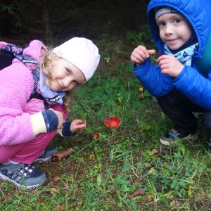 KOČIČKY_výlet ,,Poznáváme podzimní les,,