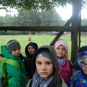 KOČIČKY_výlet ,,Poznáváme podzimní les,,