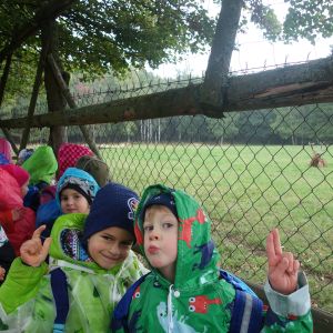 KOČIČKY_výlet ,,Poznáváme podzimní les,,