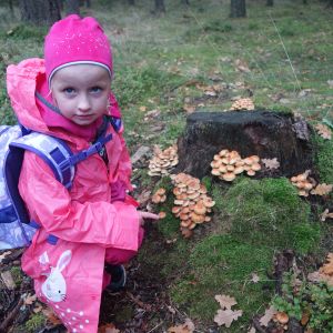 KOČIČKY_výlet ,,Poznáváme podzimní les,,