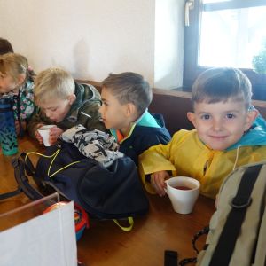 KOČIČKY_výlet ,,Poznáváme podzimní les,,