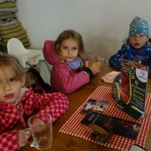 KOČIČKY_výlet ,,Poznáváme podzimní les,,