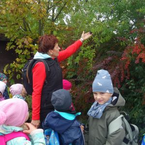 KOČIČKY_výlet ,,Poznáváme podzimní les,,