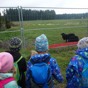 KOČIČKY_výlet ,,Poznáváme podzimní les,,