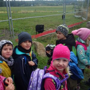 KOČIČKY_výlet ,,Poznáváme podzimní les,,