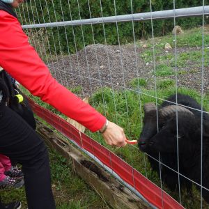 KOČIČKY_výlet ,,Poznáváme podzimní les,,