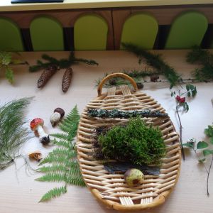 KOČIČKY_výlet ,,Poznáváme podzimní les,,