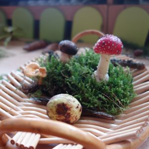 KOČIČKY_výlet ,,Poznáváme podzimní les,,