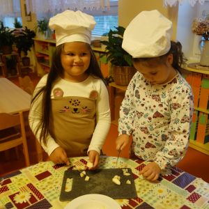 KOČIČKY_říjen 2025