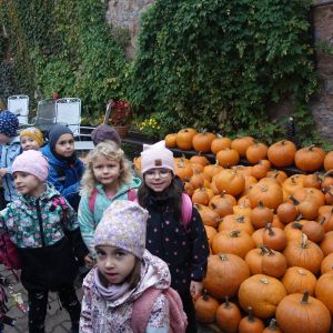 Výlet do ČECHOVY STODOLY