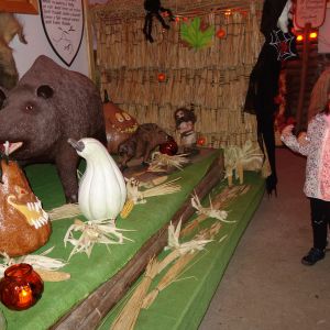 Výlet do ČECHOVY STODOLY