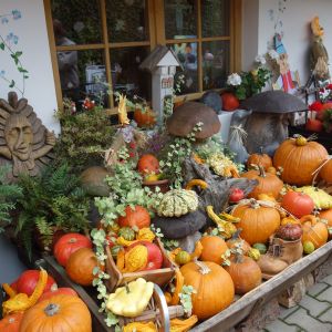 Výlet do ČECHOVY STODOLY