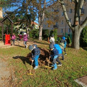 KOČIČKY_říjen 2025