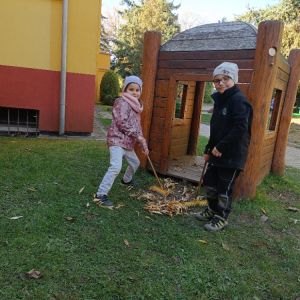 KOČIČKY_říjen 2025