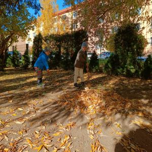 KOČIČKY_říjen 2025