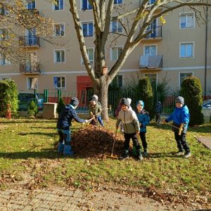 KOČIČKY_říjen 2025