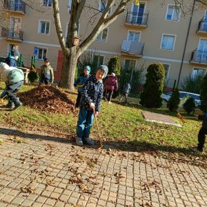 KOČIČKY_říjen 2025