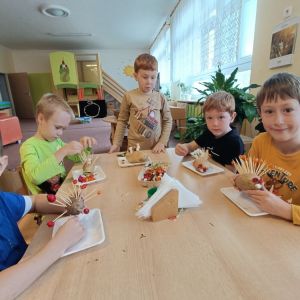 KOČIČKY_říjen 2025