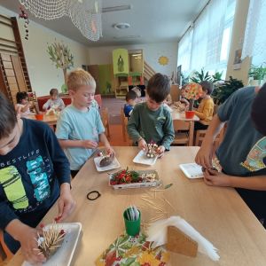 KOČIČKY_říjen 2025