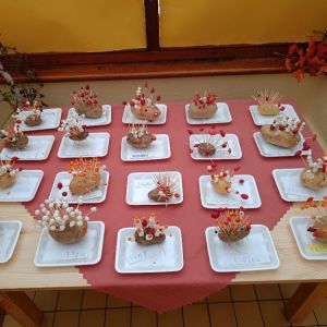 KOČIČKY_říjen 2025