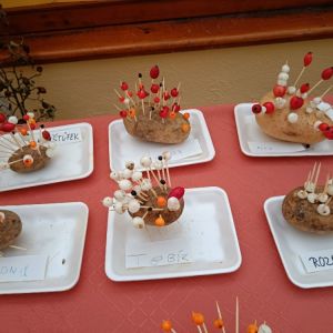 KOČIČKY_říjen 2025