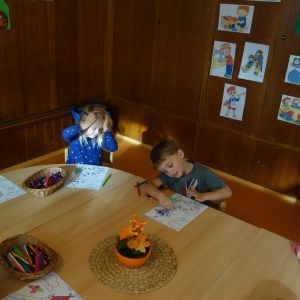 PEJSEK_listopad 2025